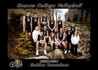 Display print Volleyball Mens 75