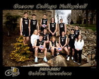 Display print Volleyball Mens 108