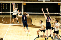 MVB-2006